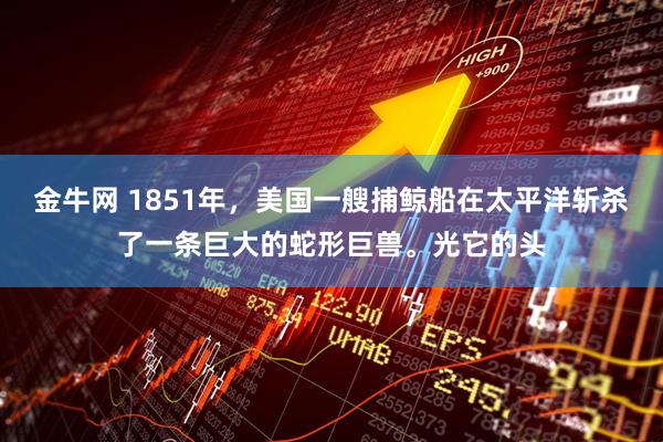 金牛网 1851年，美国一艘捕鲸船在太平洋斩杀了一条巨大的蛇形巨兽。光它的头