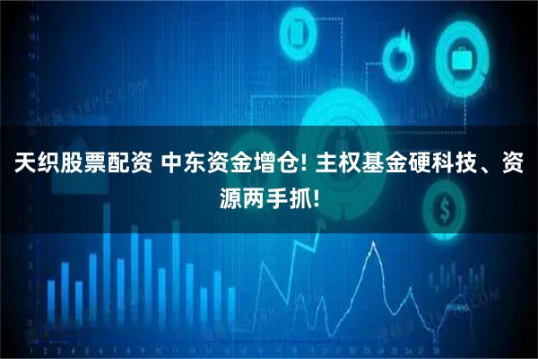 天织股票配资 中东资金增仓! 主权基金硬科技、资源两手抓!