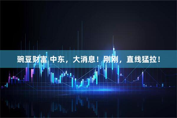 豌豆财富 中东，大消息！刚刚，直线猛拉！